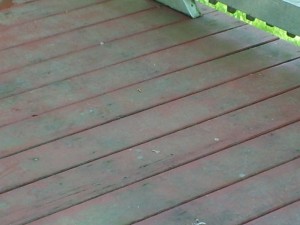 Dirty Deck to be cleaned